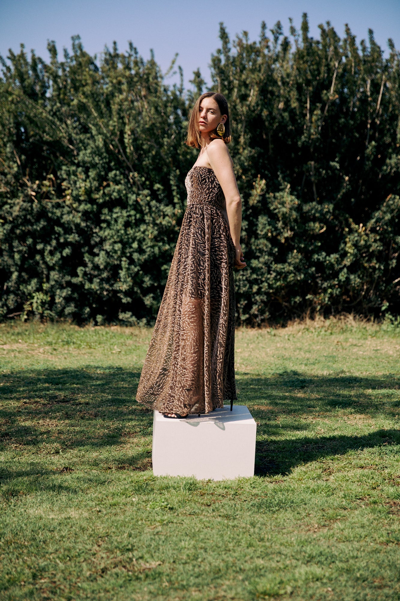 "DANNI" DRESS